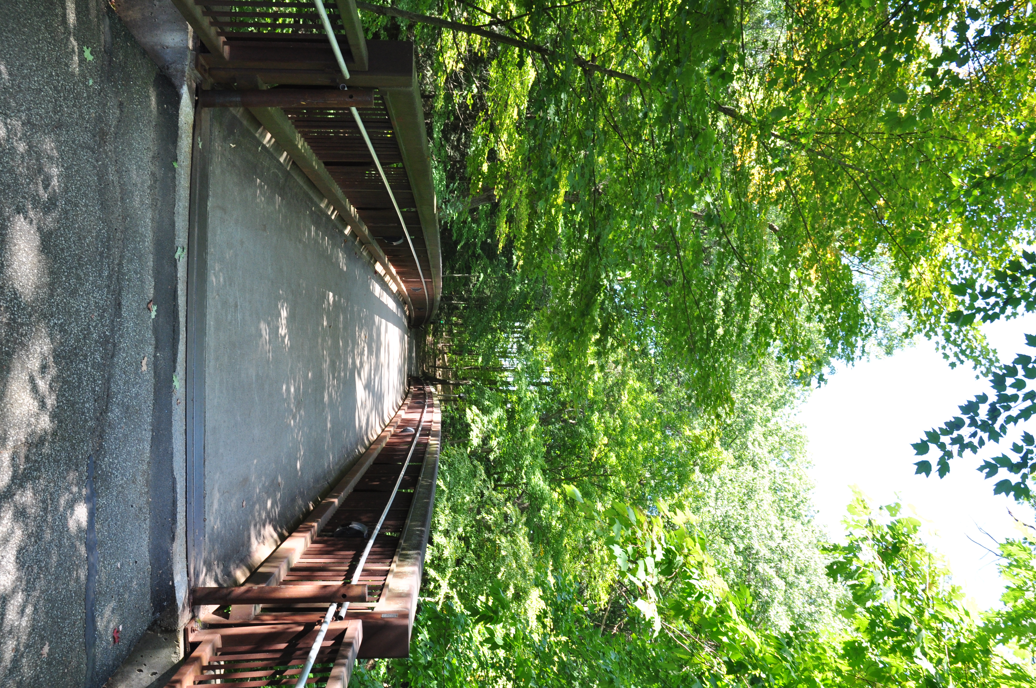Bridge to Behrend Fields